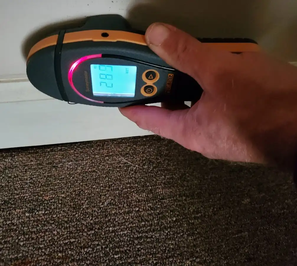 Moisture detection at baseboard during Mold Inspection & Testing in Rockport